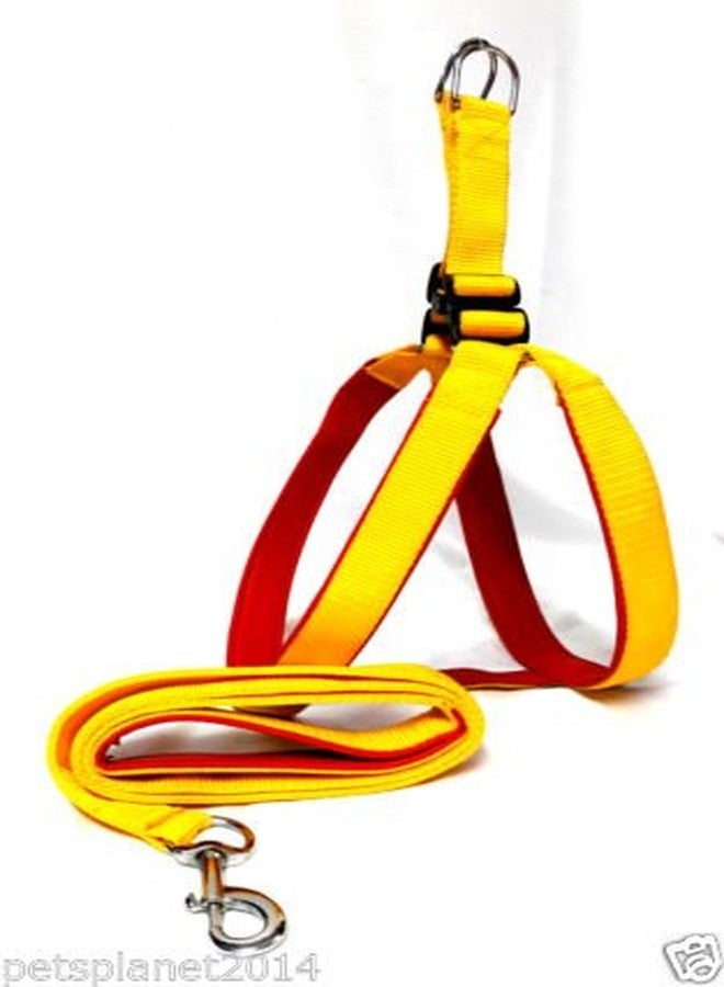 Ocean Wave Petsplanet Yellow Nylon Dog Harness with Soft Red Padding 1 inch Medium Size - Image 3